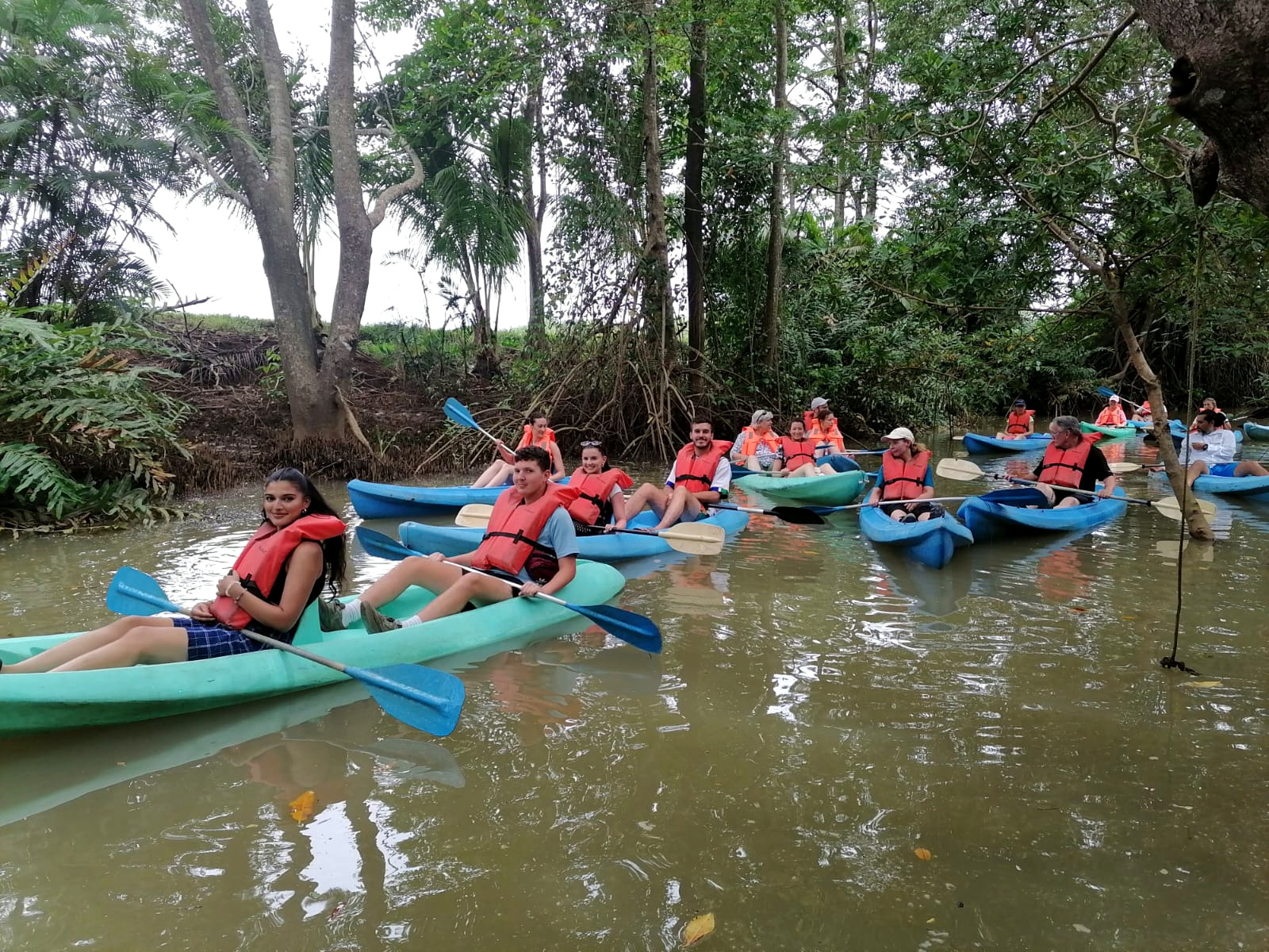 Mangrove Tour