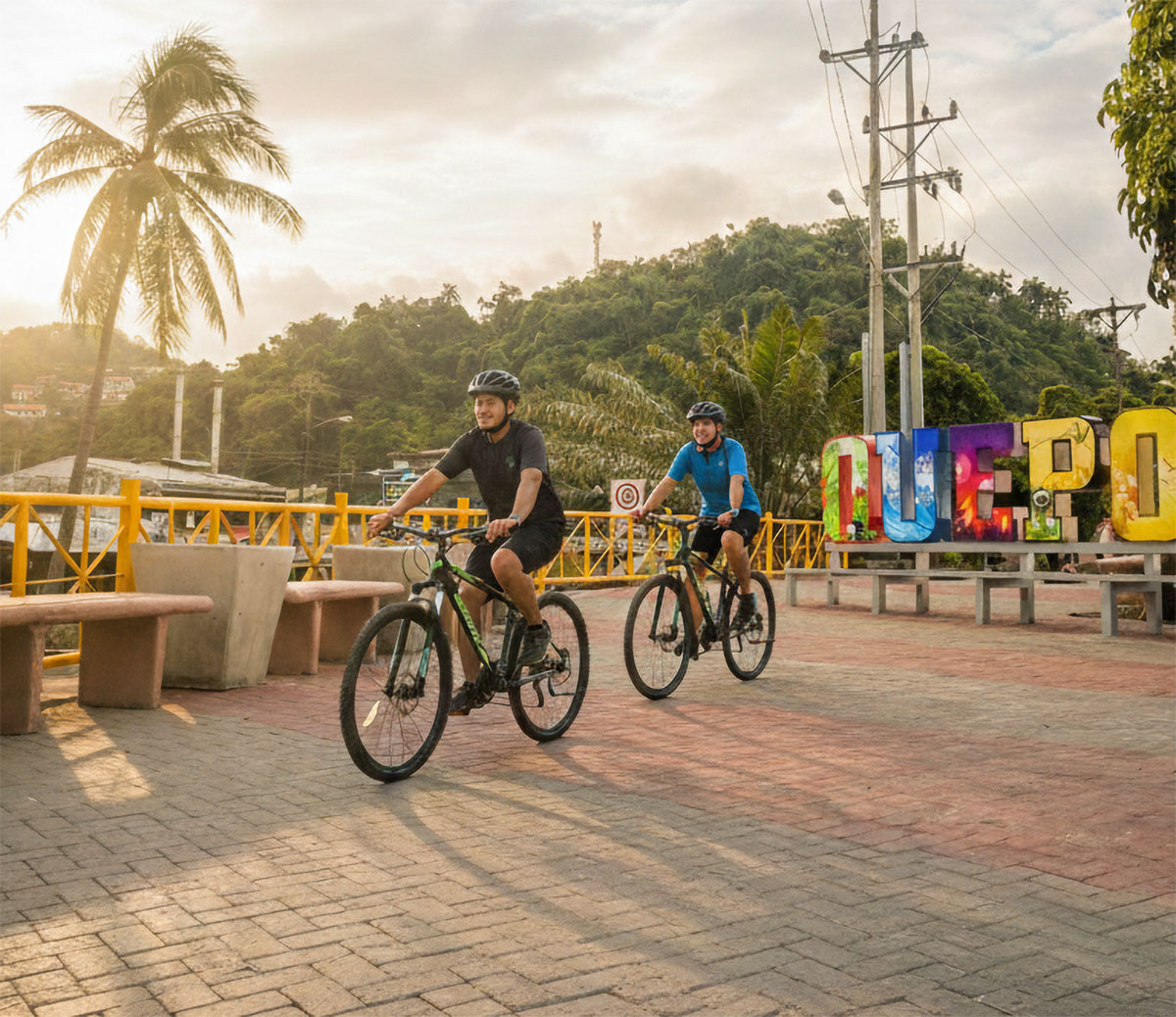 Bike Rental